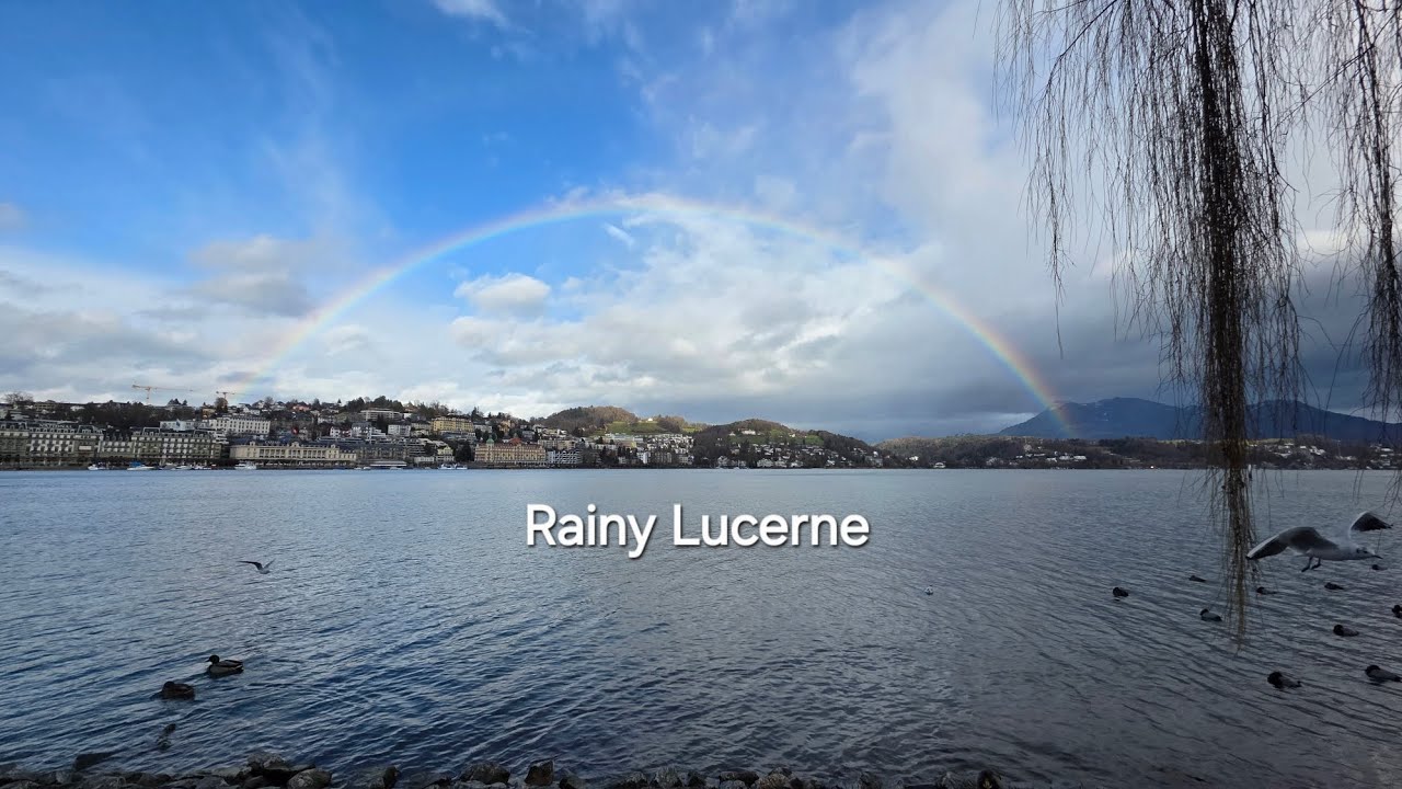 Rainy Walk in Lucerne 🇨🇭 | From Spreuerbrücke to Rössliwiese 