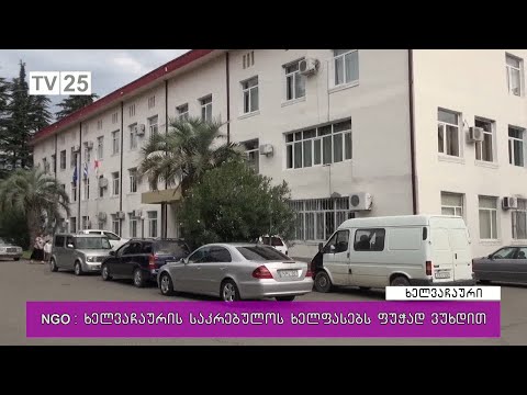 NGO: ხელვაჩაურის საკრებულოს ხელფასებს ფუჭად ვუხდით