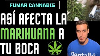 Así Afecta A La Boca Fumar Marihuana O Cannabis - Efectos Del Consumo De Drogas