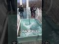 本当に怖いガラス橋