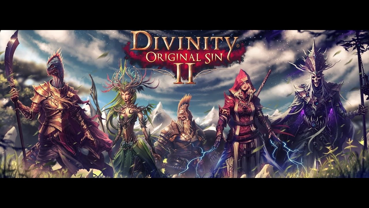 Divinity Original Sin 2 Definitive Edition Coop