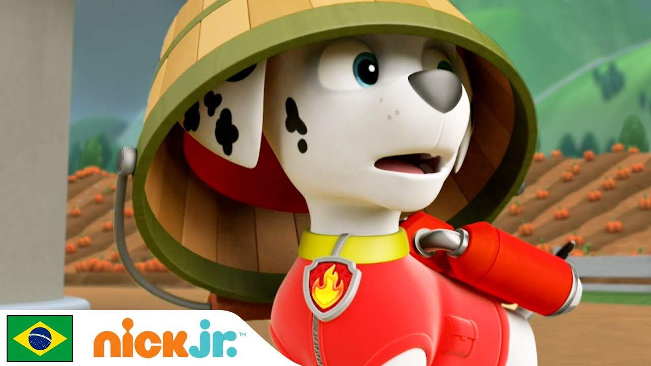Patrulha Canina | Resgates terrestres - parte 1 | Nick Jr. em Português