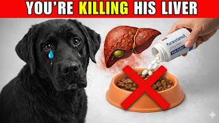 14 DEADLY Mistakes That DESTROY Your Dog’s Liver (Don’t Ignore #2)