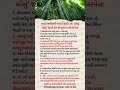 ખાલી જમીનથી કમાણીનું લીલું સોનું