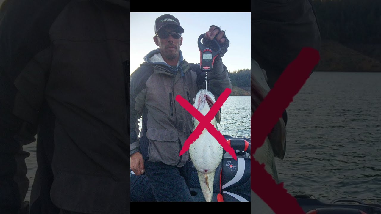 THEY GOT SCREWED OUT OF A WORLD RECORD FISH Bassfishing