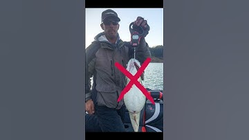 Thumbnail of THEY GOT SCREWED OUT OF A WORLD RECORD FISH #bassfishing