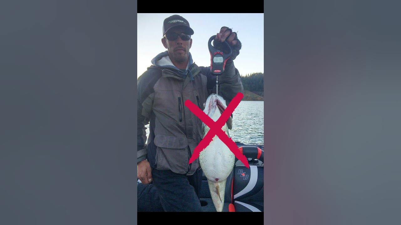 THEY GOT SCREWED OUT OF A WORLD RECORD FISH #bassfishing