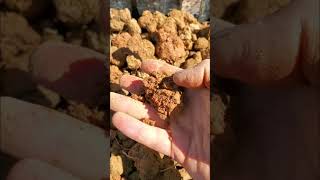 Earth plaster raw and creating