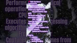 Digital Image Processing Hardware Explained DIP System Architecture