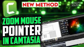 How to zoom mouse pointer in camtasia 2024