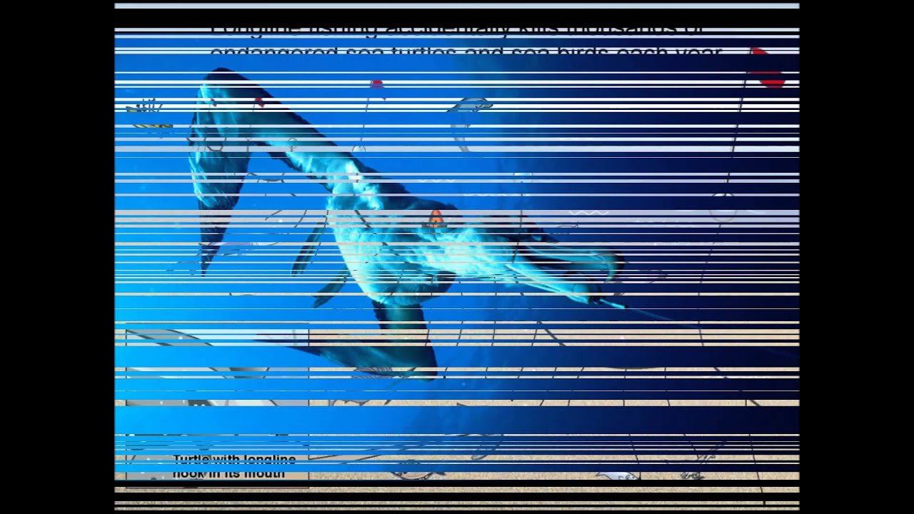 Overfishing | Greenpeace