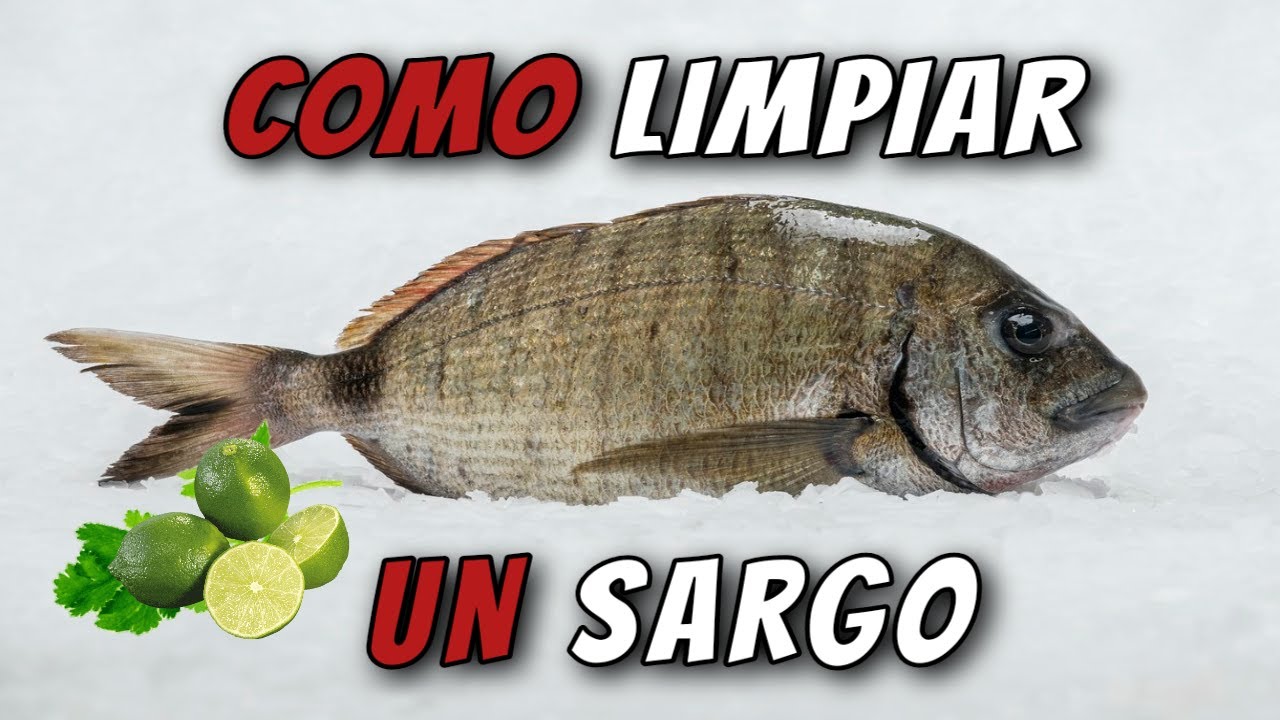 Como LIMPIAR un SARGO para HORNO PASO a PASO