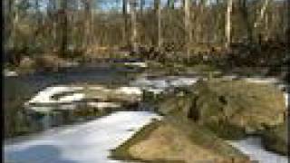 Fairfax County Stormwater Management