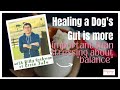 Microbiome, Macro/Micro Nutrients, and Raw Feeding with Billy Hoekman of Green JuJu