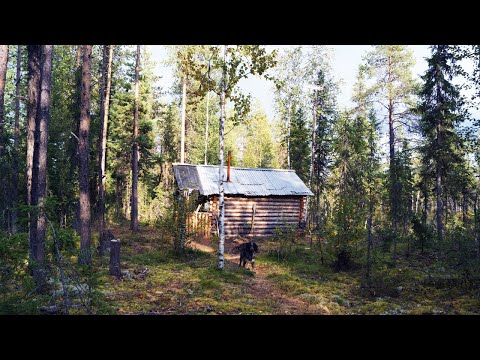 10 дней один в глухой тайге. Охота. Рыбалка. Одиночный поход. Таёжный быт. Лесная изба. Часть 5
