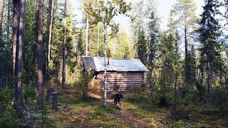 10 Дней Один В Глухой Тайге. Охота. Рыбалка. Одиночный Поход. Таёжный Быт. Лесная Изба. Часть 5