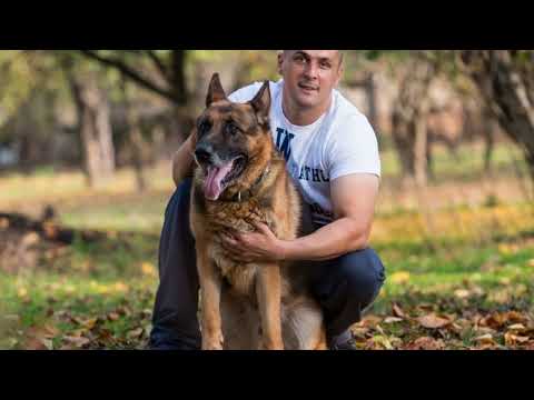 Video: Global Pet Expo 2018: Kámo! Společnost Carolina Pet Rolls Out Velká LeBARKski Line