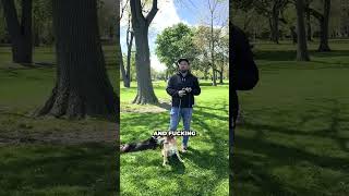 Stop Avoiding Triggers With Reactive Dogs
