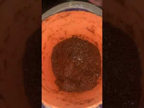 اسهل واسرع بسكوت شوفان