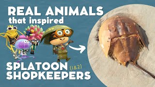 Real World Marine Animals that Inspired Splatoon's Shopkeepers