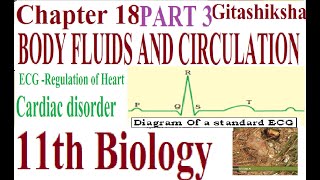 Chapter 18- Part 3-ECG-Regulation of Heart activity. Cardiac disorder.