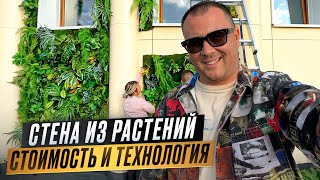 СТЕНА ИЗ РАСТЕНИЙ, Стоимость и технология | Влог Алистарова