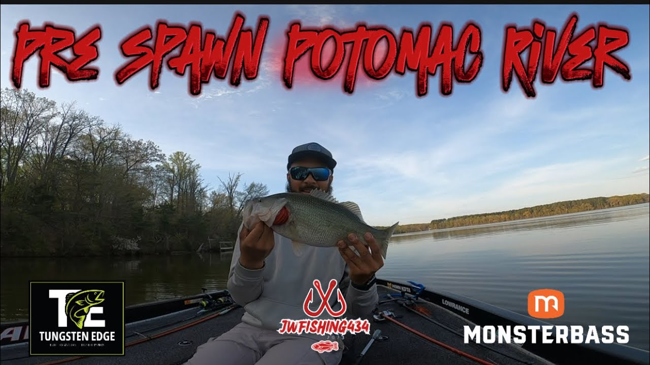 Pre Spawn Bass Fishing (Potomac River)
