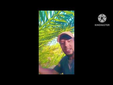 OSOO SUBSCRIBE HIN GONE BIRA HIN DABRIN