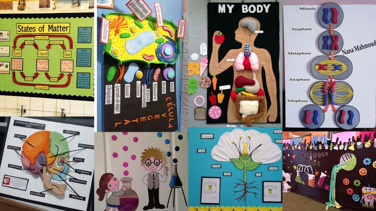 How To Decor Science Lab Science Lab Decoration Ideas Science Wall front-page-decoration-for-science-project-border-design-for-project