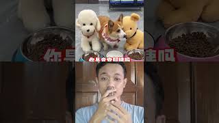 YOU WON’T ANTICIPATE THIS CORGI’S REACTION‼️