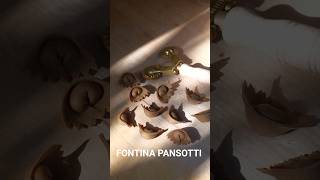 Fontina Pansotti Stuffed With Fontina Cheese Made From Mushroom Pasta Dough...