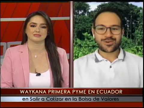 Waykana trabaja en el cultivo producción y exportación de la Guayusa