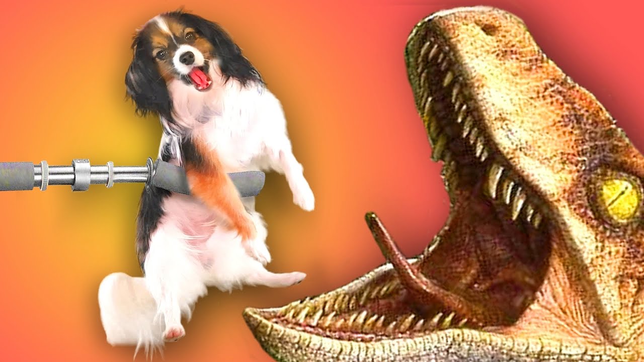 Dog Vs Raptor Dog is fed to raptors - but they LOSE! (Jurassic Park with a Dog) - YouTube
