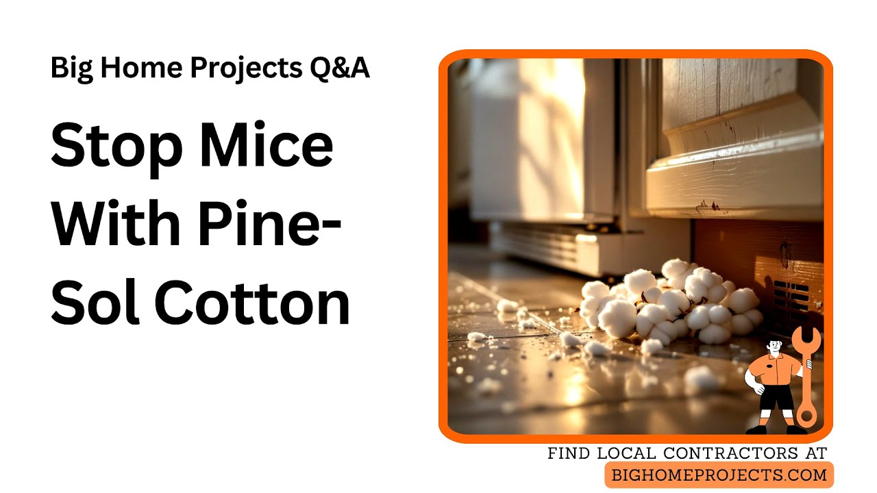 Pine-Sol Cotton Ball Mouse Entry Point Hack