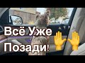 Всё Уже Позади! Сняли швы @DomDeviatykh #йорки #собачки #клиника #жизньвамерике #сша #сакраменто