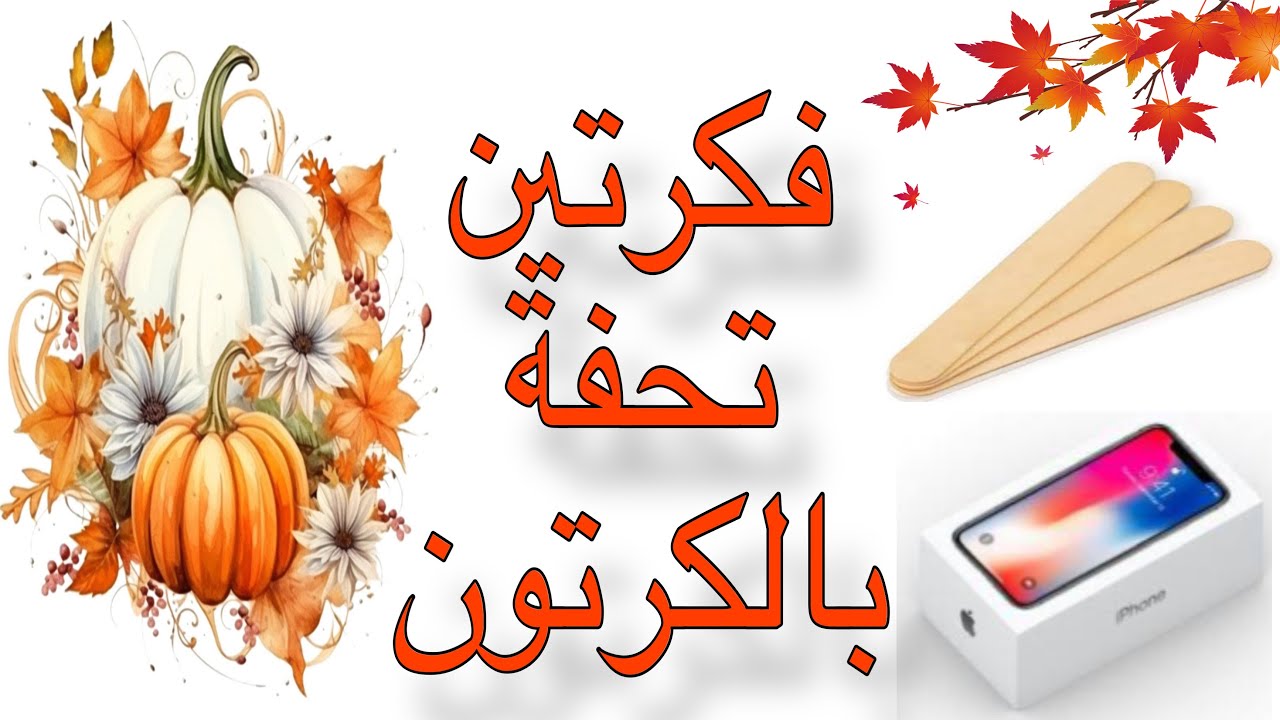 لو عندك علب كرتون يبقى لازم تشوفي الفيديو ده/فكرة ماتخطرش ع البال/ ليه تشتريها بالغالي/ اعادة تدوير