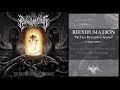 Riexhumation  the vectorcvlt death metal 2021
