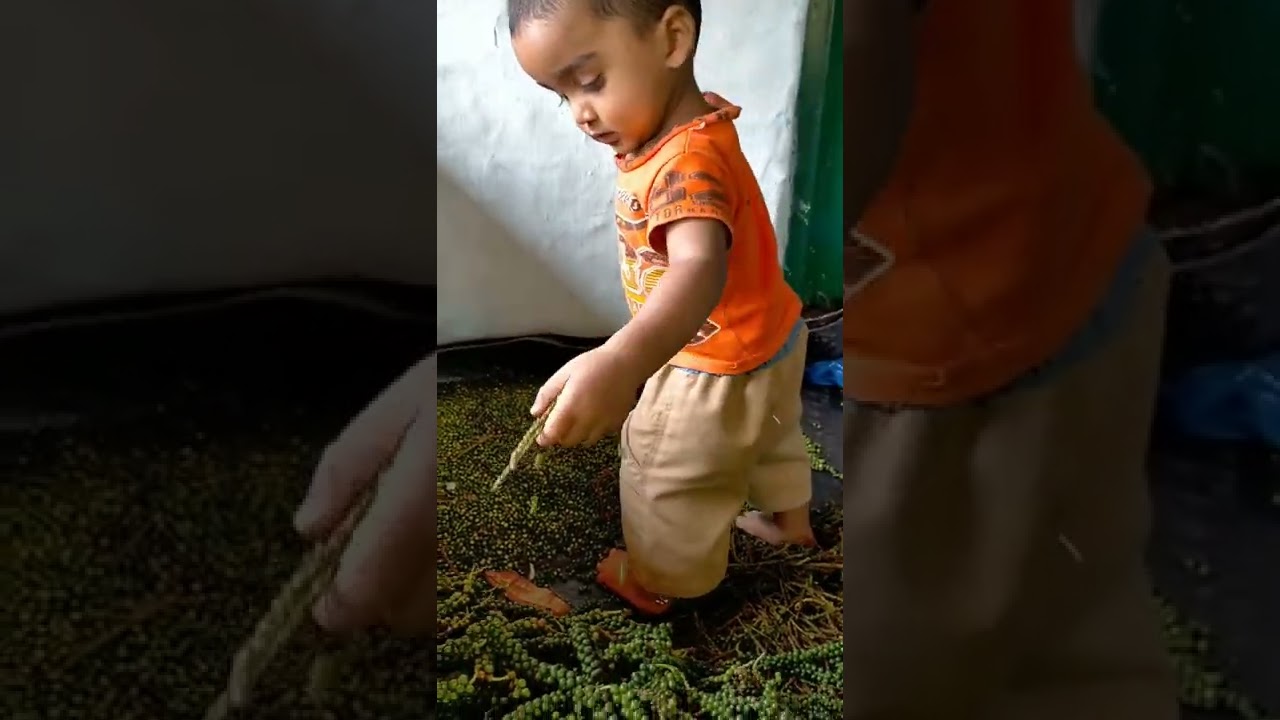 pepper cleaning 😂😂