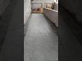 Tails fitting work #interiordesign #trending #house #motivation #short #shortvideo