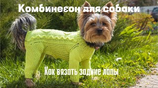 картинка: Вязание для собак: комбинезон