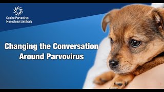 Changing the Conversation Around Parvovirus