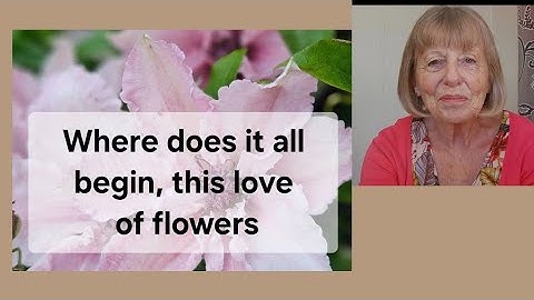 Start where you are. A short history of the journey towards my dream garden