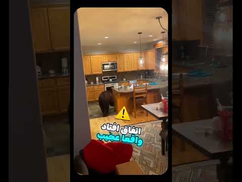 دم در بده بفرما تو