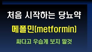 처음 시작하는 당뇨약  메폴민(metformin)