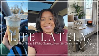 VLOG: Coffee, Cleaning, BTS of filming TikToks, My Content Creator Journey, Easy Charcuterie Board by Danielle LaShawn 840 views 2 months ago 22 minutes