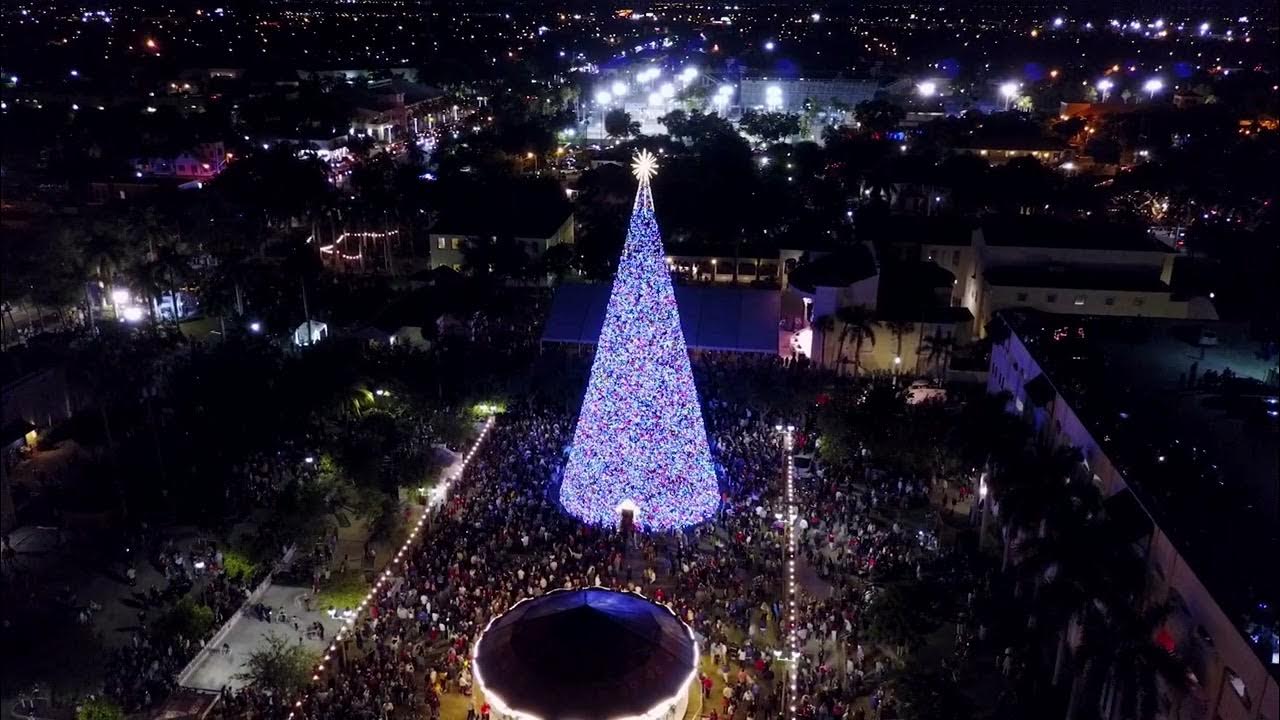 Delray's 100ft Christmas Tree Lighting YouTube