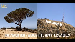Hollywood Sign & Wisdom Tree Views - Los Angeles | 4K
