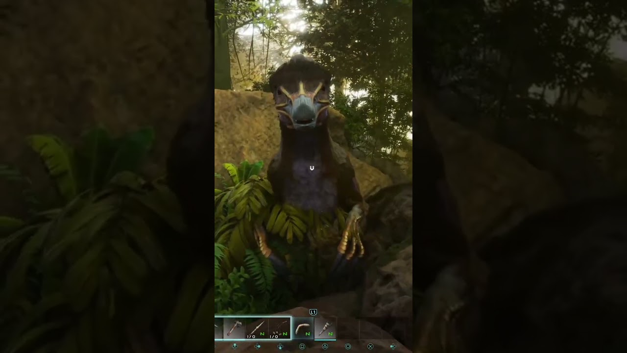 please be nice Mr tickle chicken 