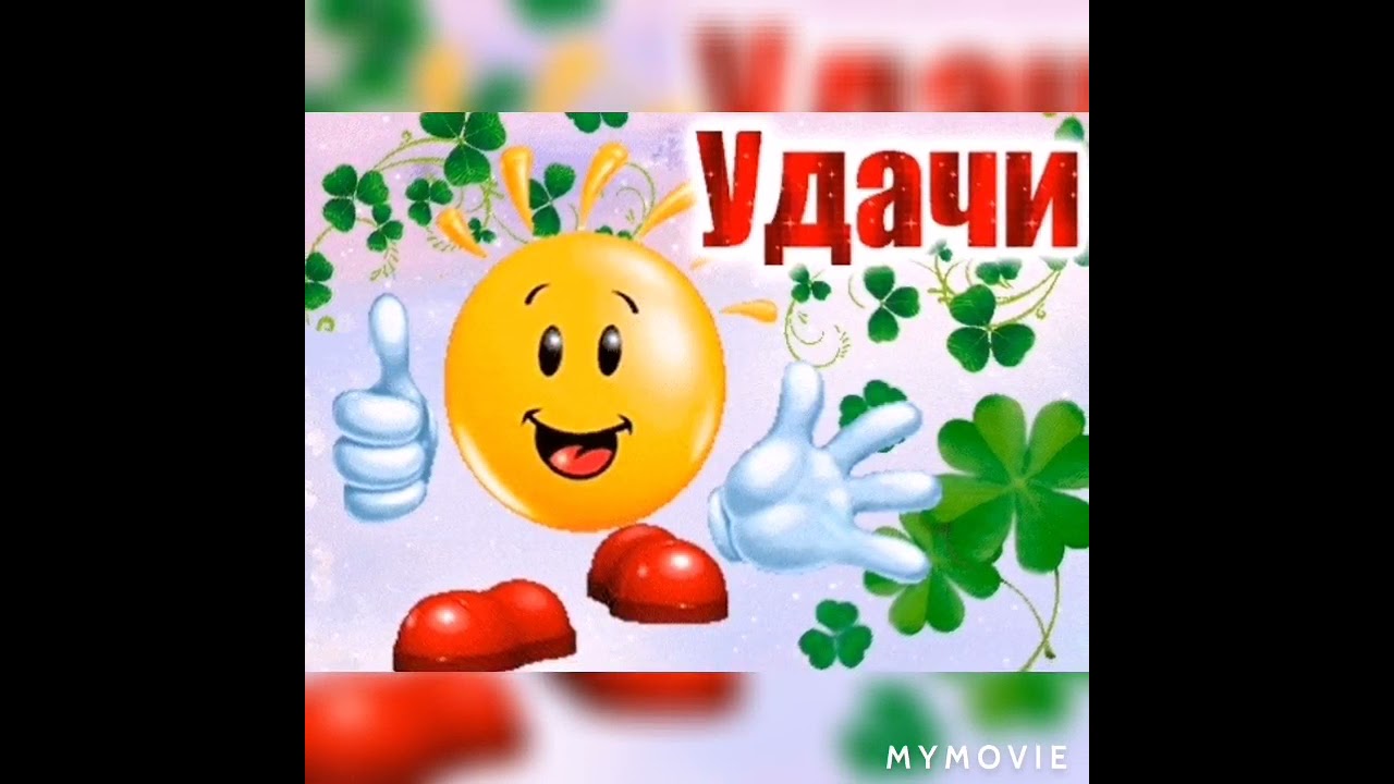 Пока удачи картинки