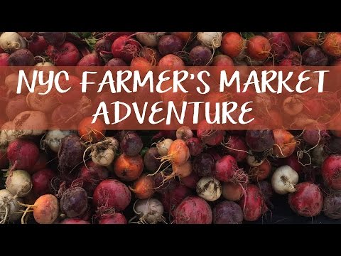 NYC Farmer's Market